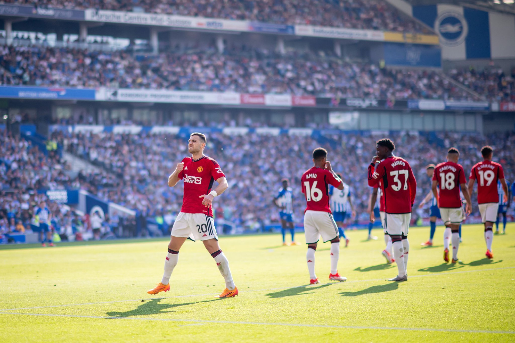 伦比的冷静 伦比的冷静