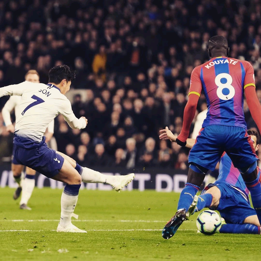 凭借老到的 凭借老到的